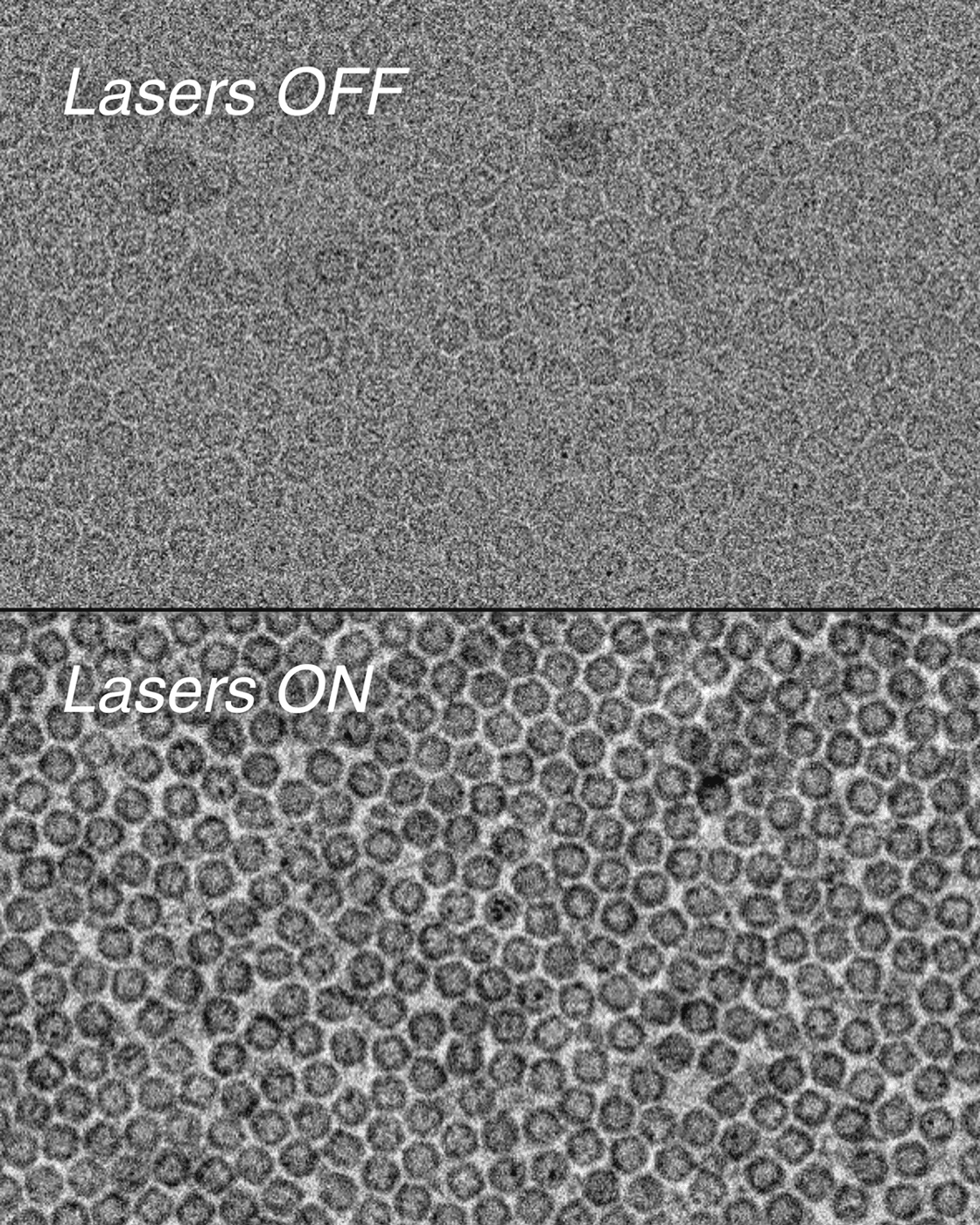 Apoferritin, a small iron-storage protein, imaged with the dual laser phase plate (xLPP) with the laser off (top) and on (bottom), demonstrating a marked increase in contrast.