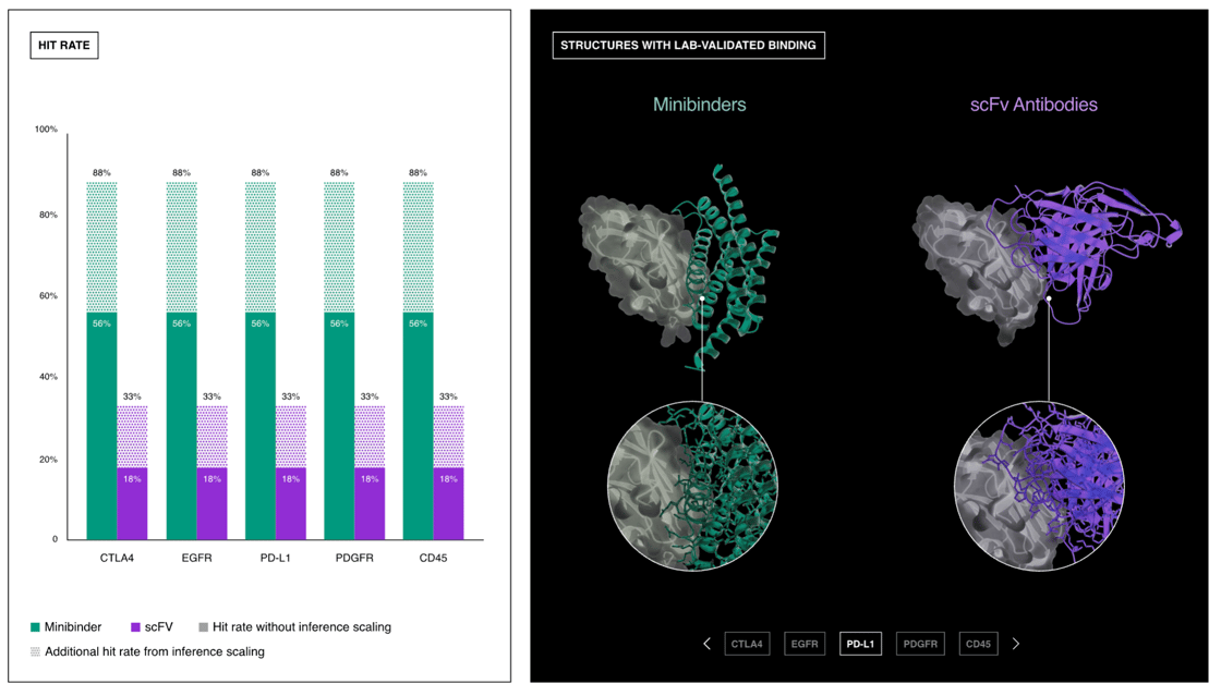 ESM-designed proteins, confirmed in the lab to bind PD-L1, a key checkpoint target in cancer immunotherapy.